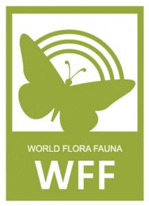 DL WFF Logo