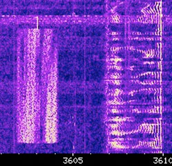 websdr